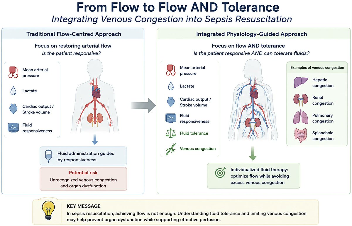 CritCareReviews's tweet photo. Beyond Fluid Responsiveness: Why Venous Congestion Matters in Sepsis

CCR Journal Watch
https://t.co/Sp06oA7gte https://t.co/qdIp9Vru1X