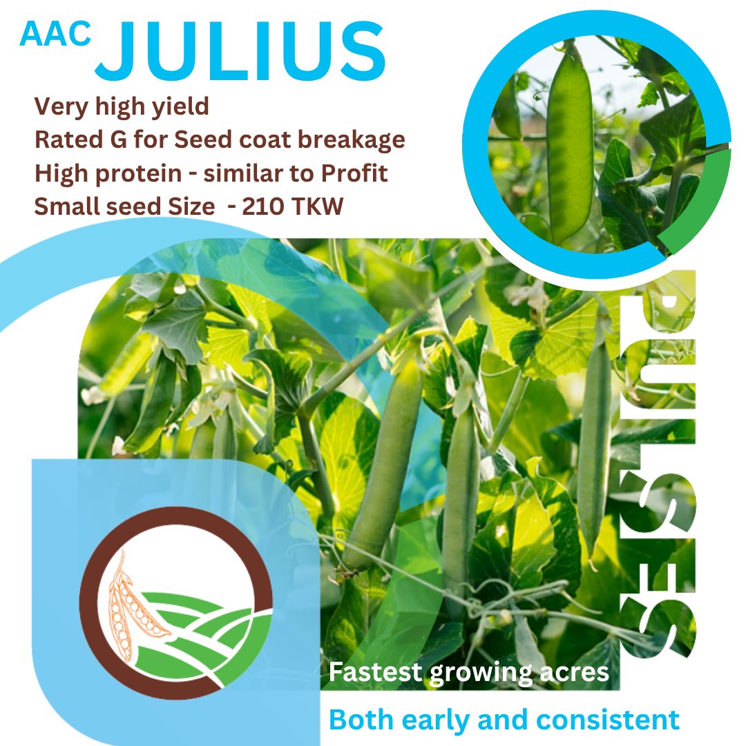 FPGenetics's tweet photo. @McDougallAcres https://t.co/c7LpSob2cs