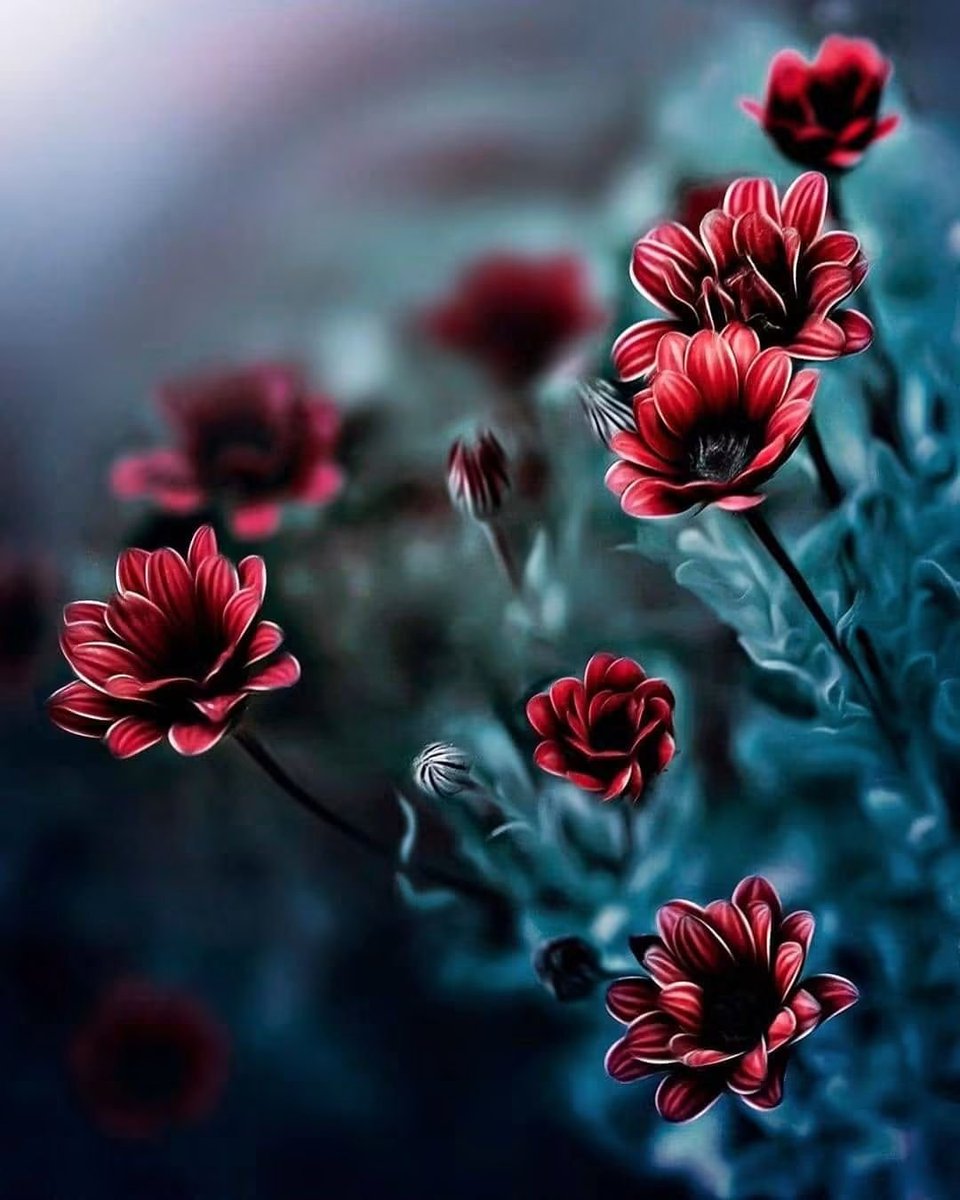 HendAmer3601521's tweet photo. { مَا يَفْتَحِ اللَّهُ لِلنَّاسِ مِن رَّحْمَةٍ فَلا مُمْسِكَ لَهَا }
❤️ https://t.co/MFh8faS7ZQ