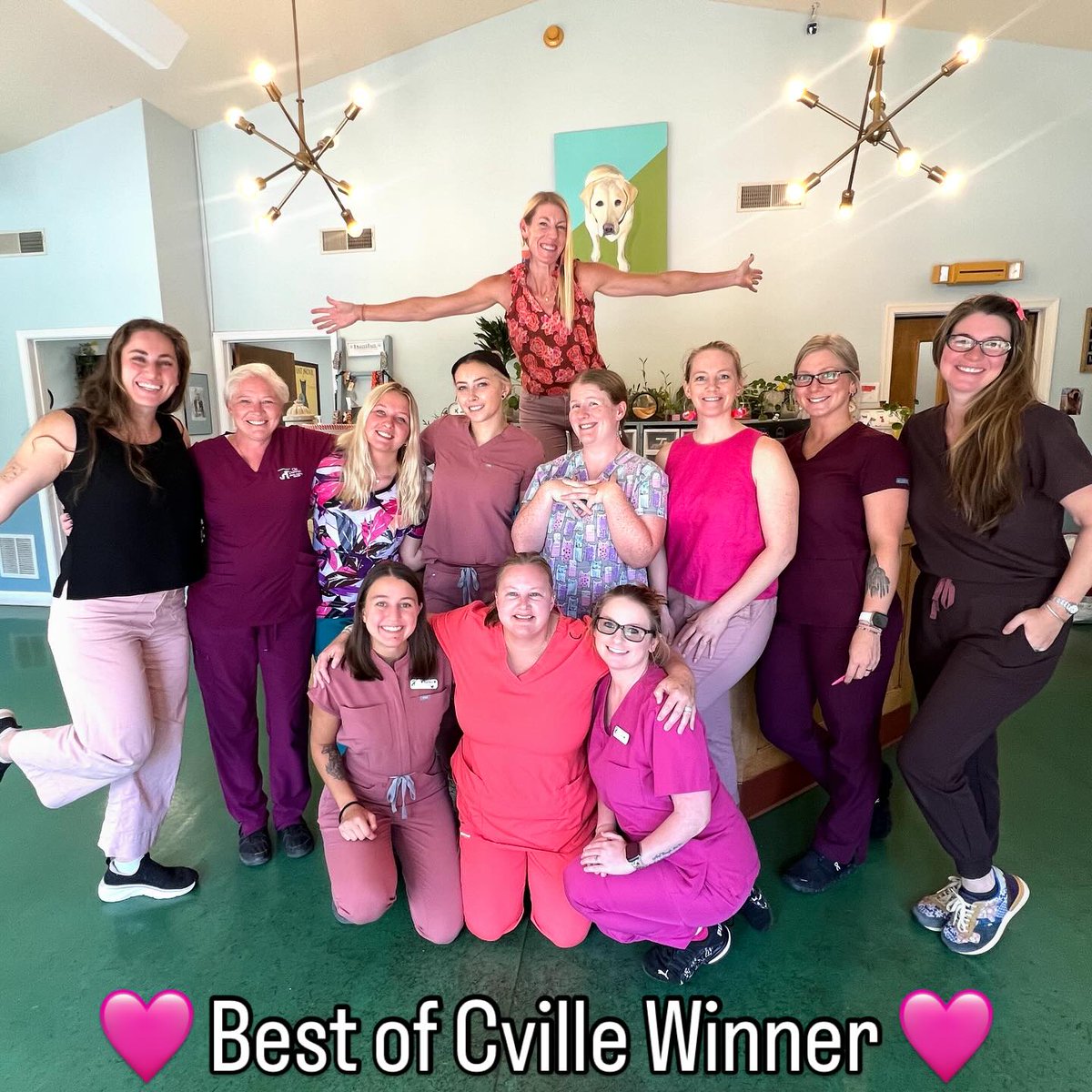 ariasmithzcs906's tweet photo. Thank you for voting for Crozet Veterinary Hospital and Old Dominion Animal Hospital as Best of Cville again! We’re truly honored. https://t.co/hmKWMjA3c4