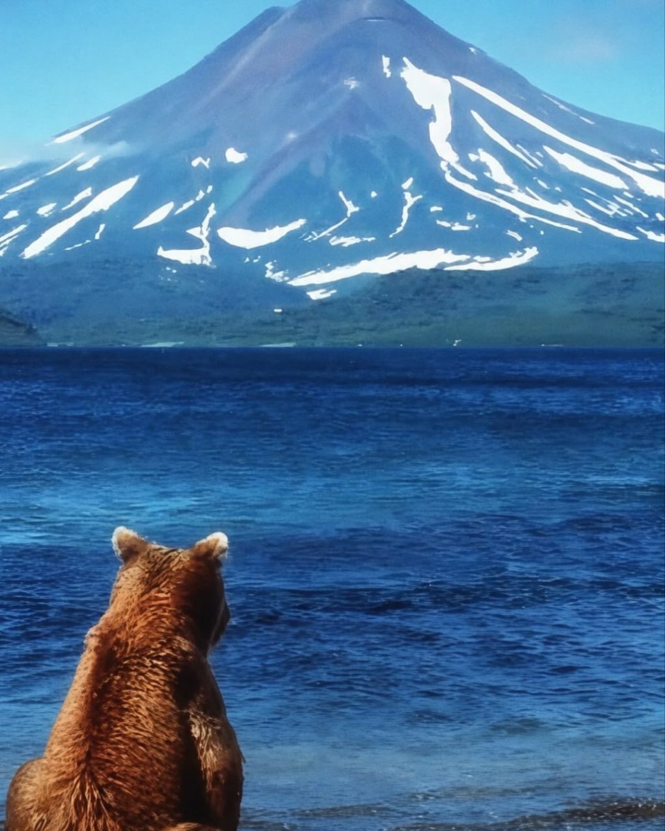 onedio's tweet photo. Bazen insanın tek ihtiyacı sessizce oturup manzarayı izlemektir...

🐻 Ayılar için de durum pek farklı değil. https://t.co/y3LppX4ATR