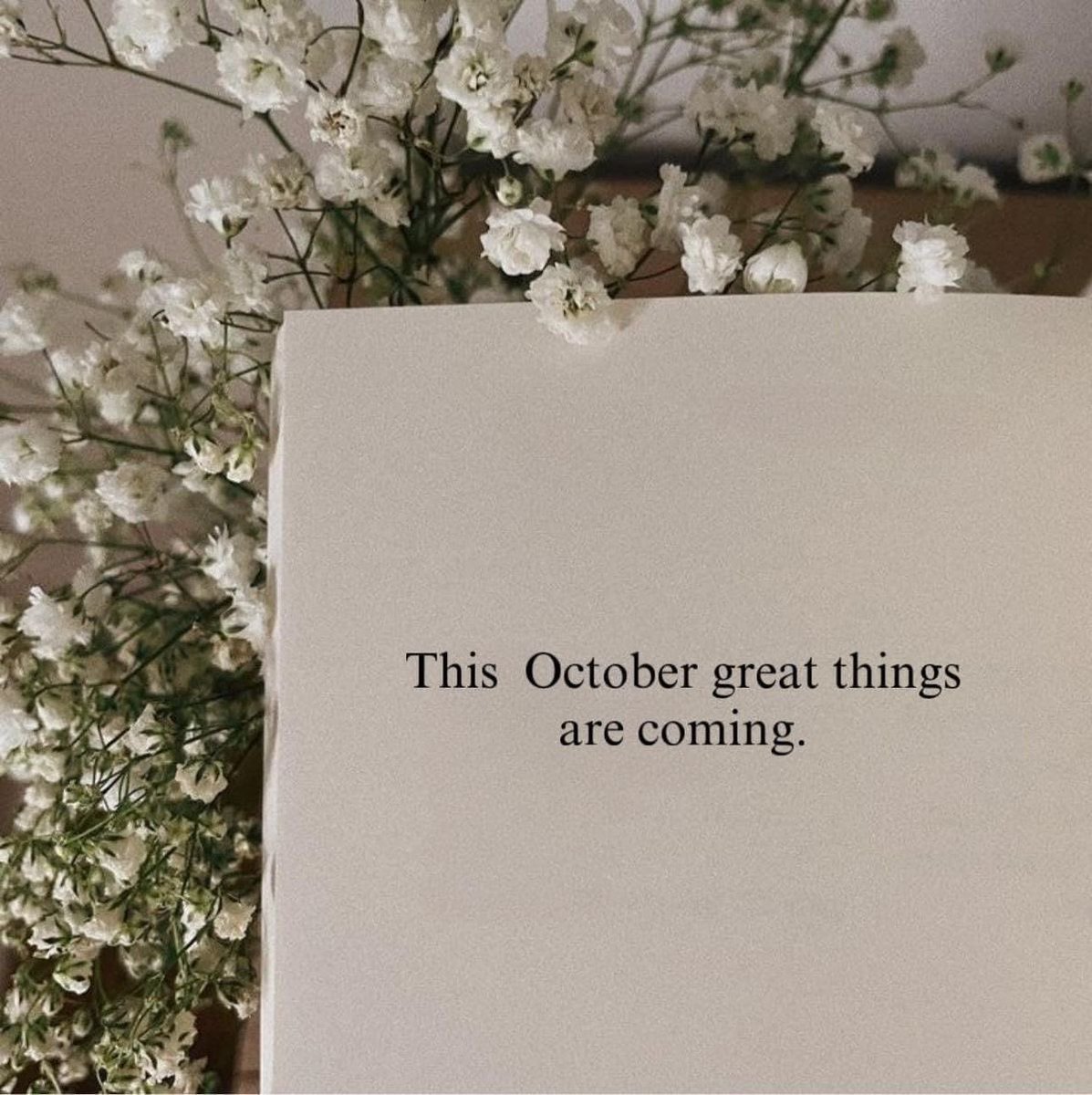 itzhya_'s tweet photo. good morninggg! ✨
first day of  october! may this month bring us more abundance, good luck, and unexpected blessings 🤍 https://t.co/JAr0qWhfL1