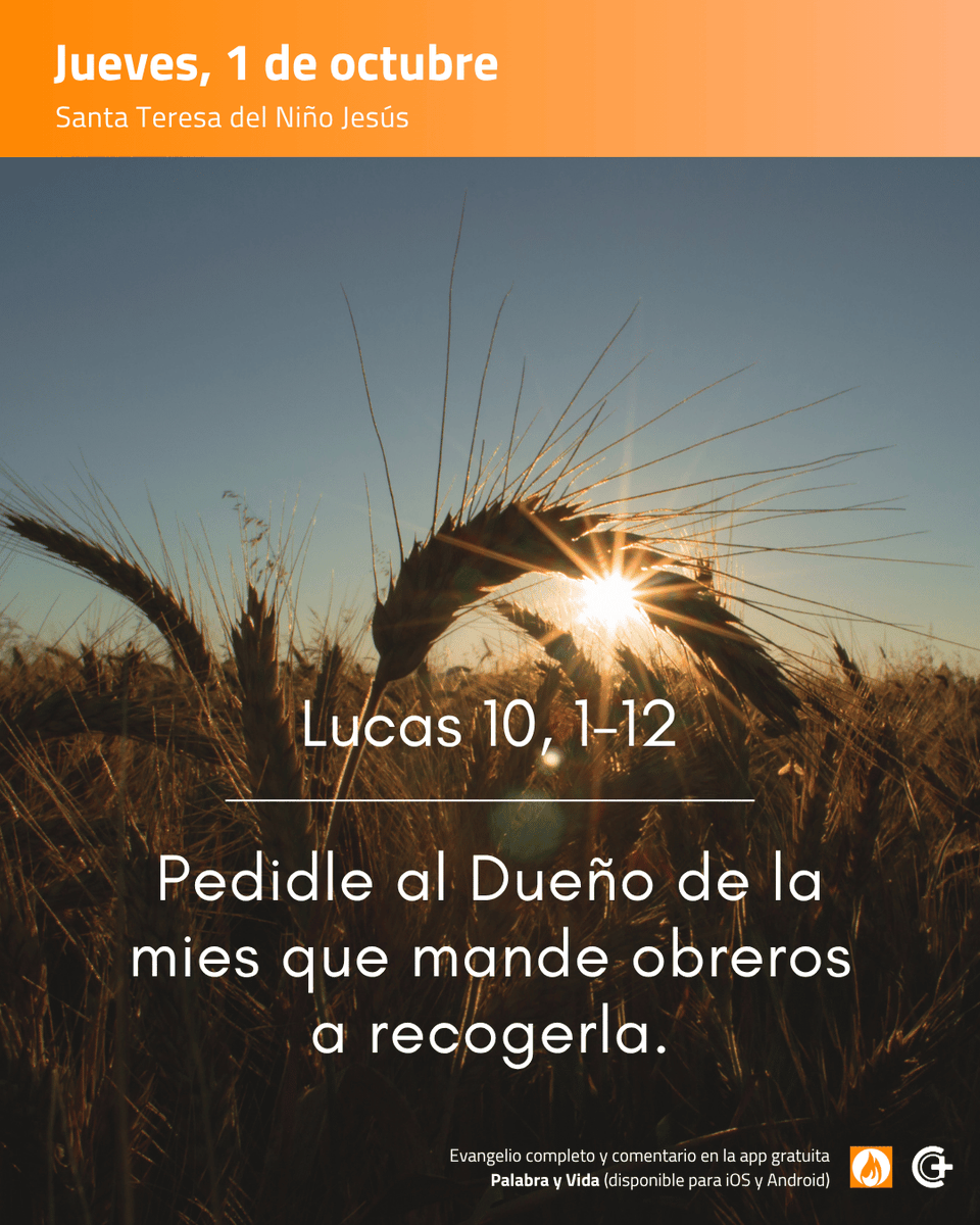 editorialPCL's tweet photo. 🌿 Jesús llega cuando llega el mensaje en boca del mensajero: padre/madre de familia, catequista, párroco; y claro, mensajero convincente que, como dice Jesús, ofrece paz y gratuidad (Severiano Blanco).

#EvangelioDelDía #EvangelioDeHoy #PalabrayVida https://t.co/gBlbJ9HdQI