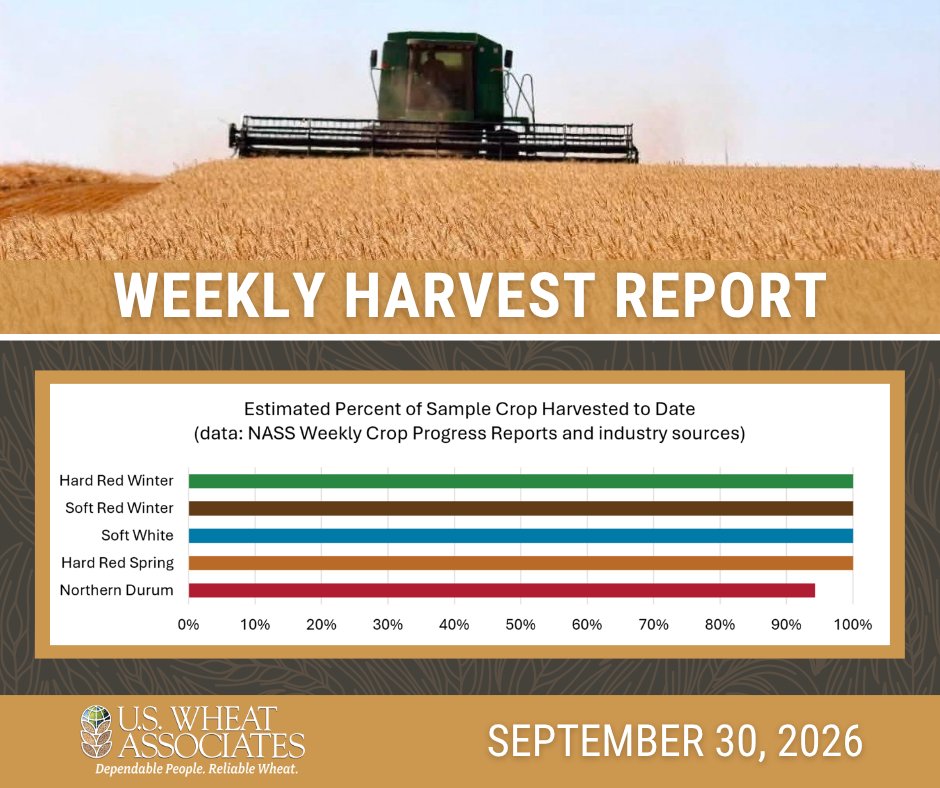 uswheatassoc's tweet photo. This is the last weekly #wheatharvest26 report: https://t.co/y14qsBuGwX

-Overall avg grades are U.S. No. 1 DNS &amp; No. 1 HAD
- @uswheatassoc thanks all who make our reports possible; Comprehensive data will be available in a few weeks

Subscribe: https://t.co/Y3g6HLIpxa

#uswheat https://t.co/v1Ug71pMys