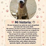 Photo by Kekotrotamundos🐶 (@Negrotrotamundo)