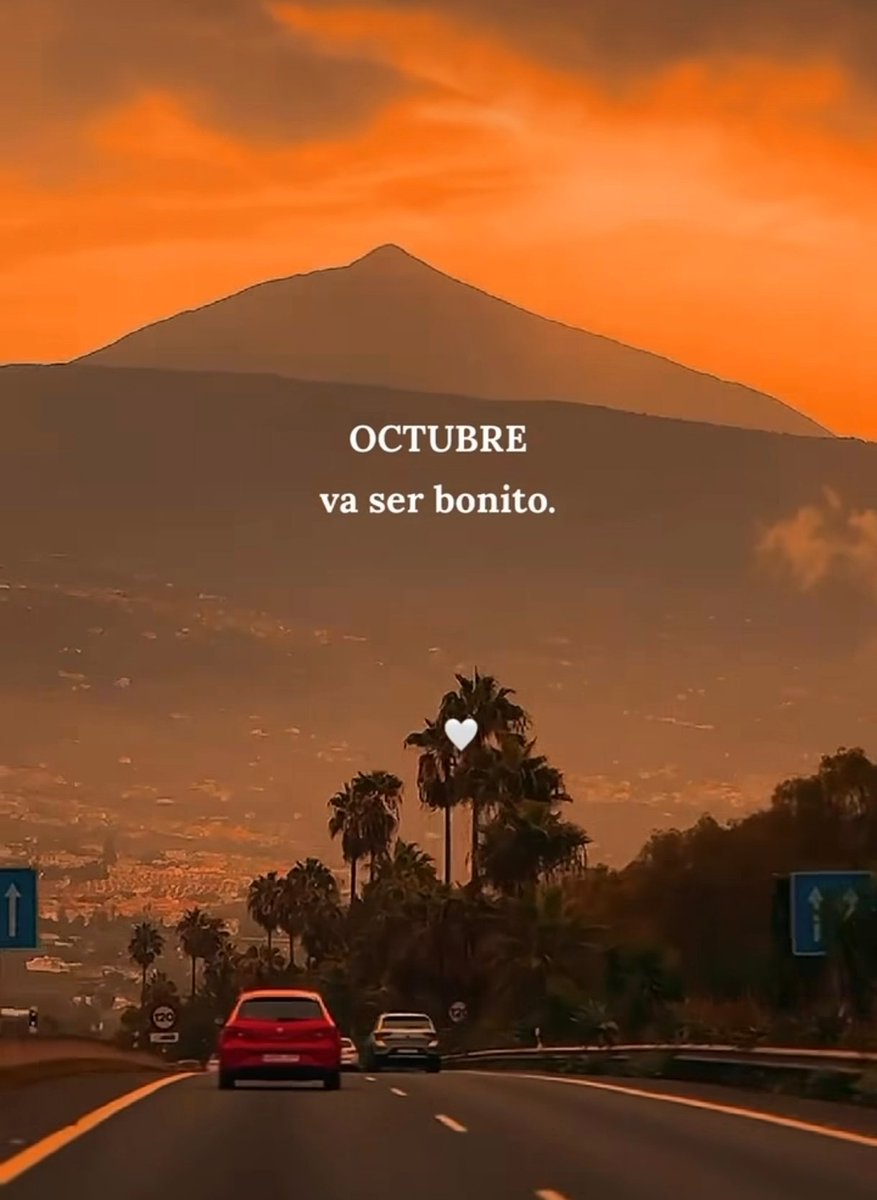 El_abuacatit0's tweet photo. 🧡✨ https://t.co/KEVJbUyGgb