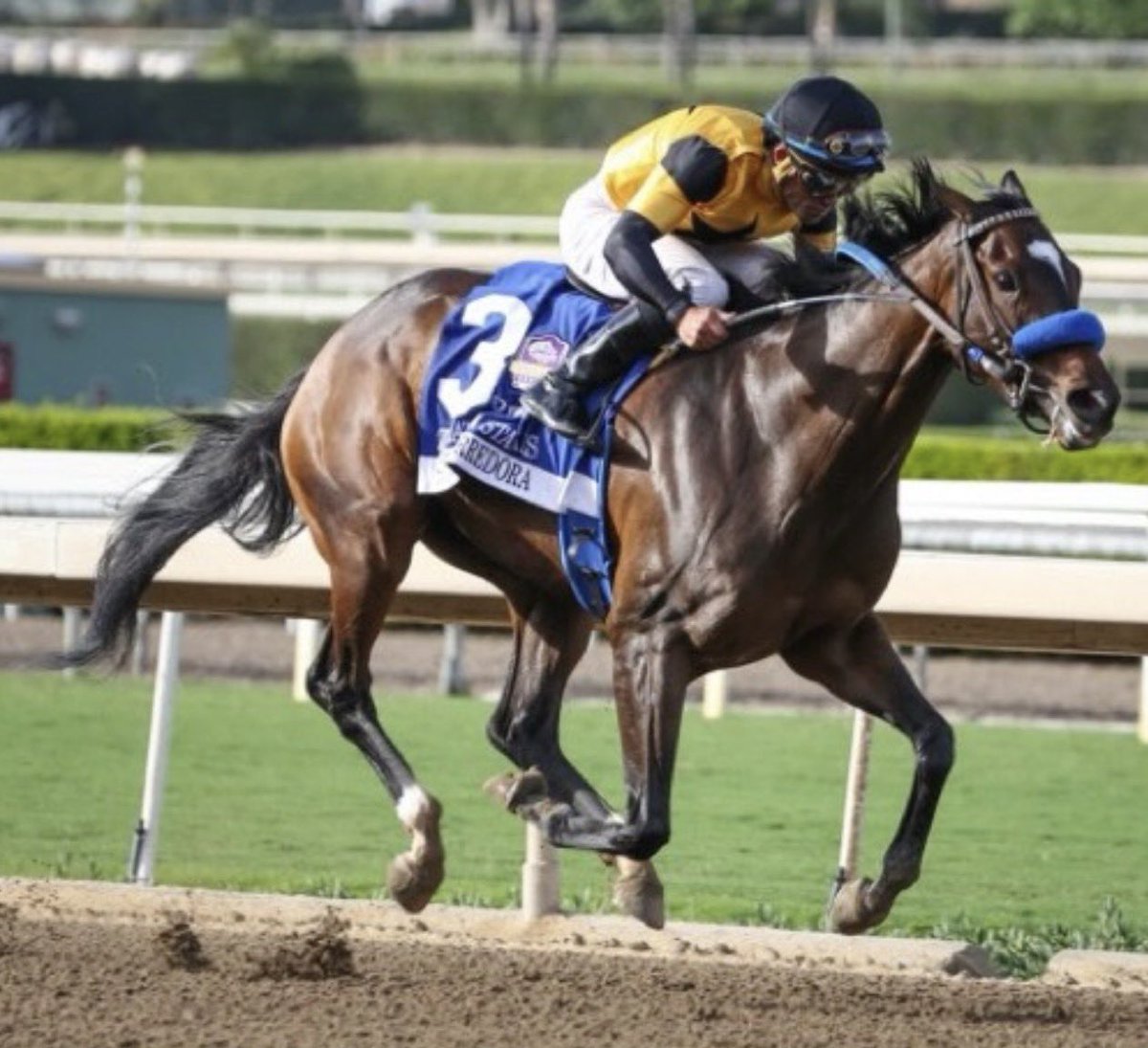 StakesWinners's tweet photo. 🏆 SUPER CORREDORA
(Joel Rosario - John Sadler)
@FanDuel ZENYATTA STAKES 2026 ($200,000) Santa Anita Park @santaanitapark @JRosarioJockey @johnwsadler @sadlerracing @westpointtbred @keenelandsales @BreedersCup @SAPublicity 
📷 @BruinLisa https://t.co/Gzrf4TQUaL