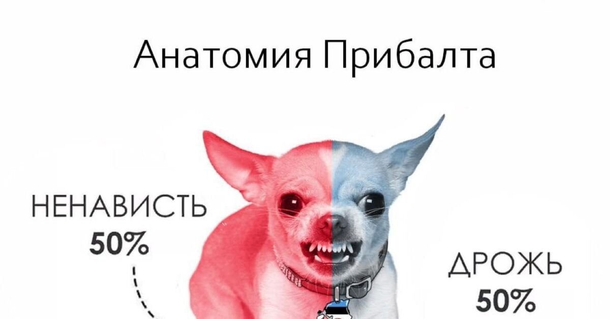veschyoleg's tweet photo. @MarkusLiimKP @hanueloryd @katatsumuri_Z Кого они могут обидеть эти ущербные? ))) https://t.co/s2JBG99SvR