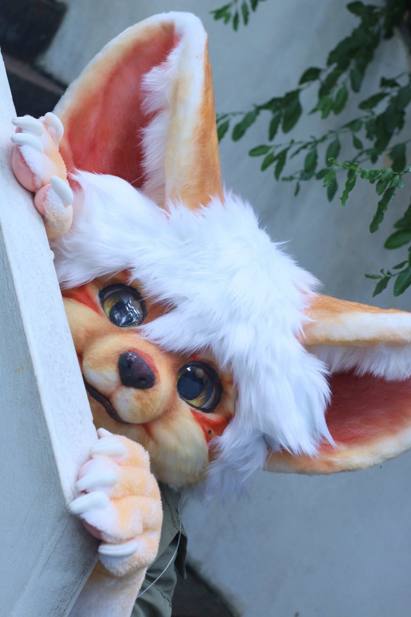 Anason_2333's tweet photo. 👀🦊peeking secretly*

📸@Yoyun97 

#furry #fursuit #furrycommission https://t.co/yCiAh34ZUn