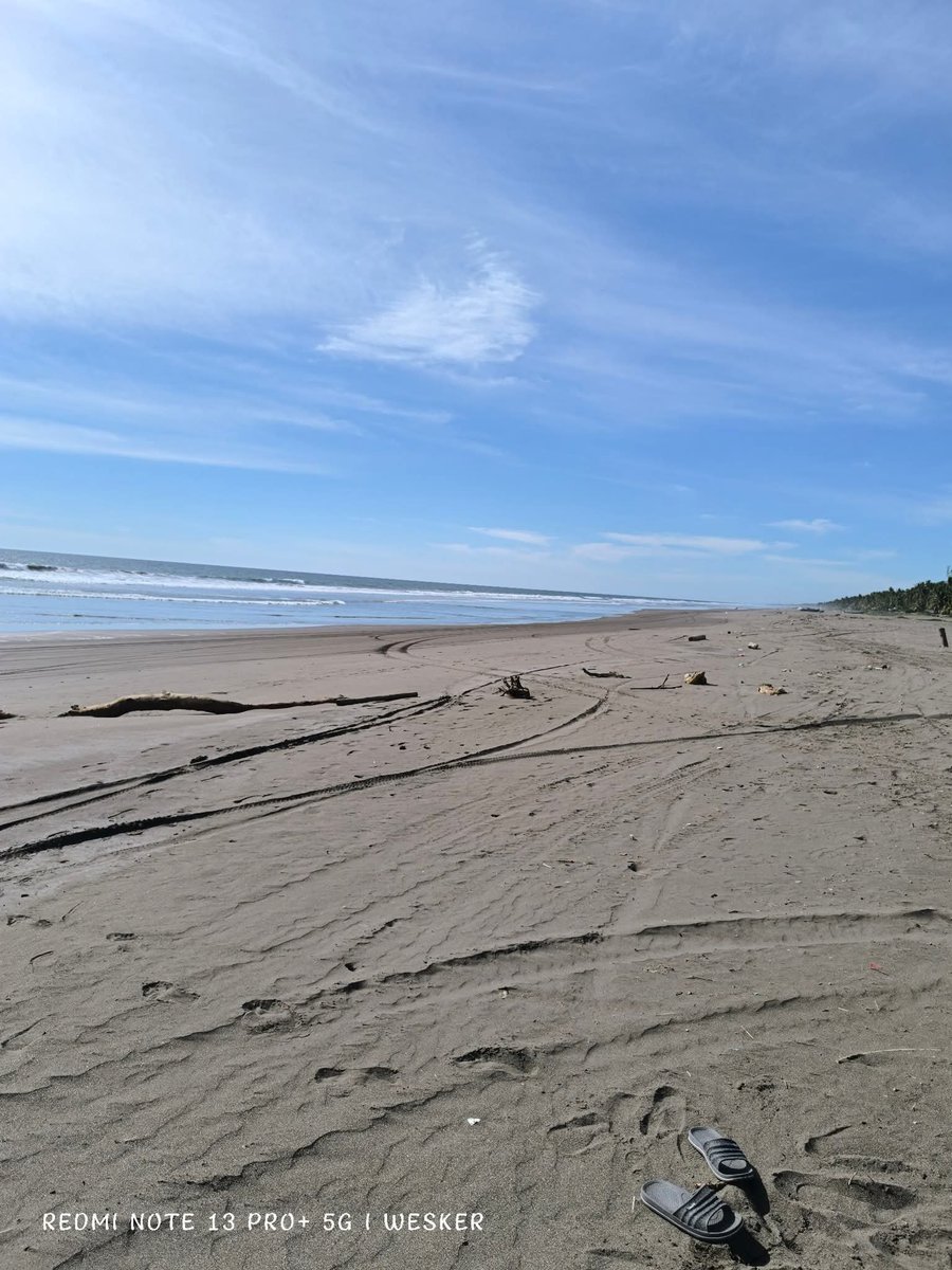 mndz1991's tweet photo. 🌊🏝️🏖️ https://t.co/pdwX8LrwB8