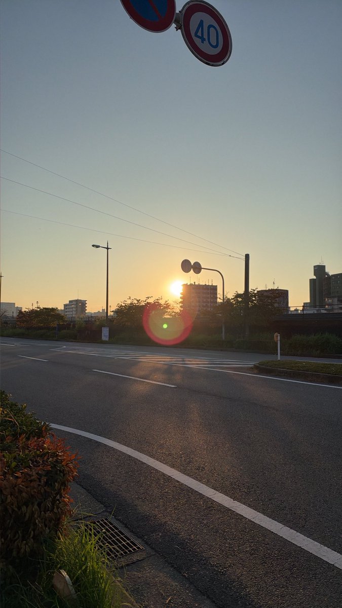 testersedori's tweet photo. おはようございます☀
熊本出張中！
太陽浴びたくてあさんぽー！ https://t.co/9hDdjTEWD0