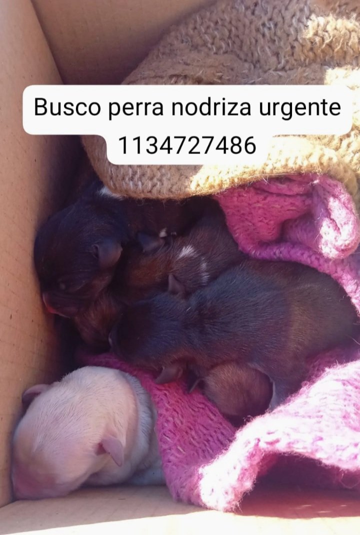 patripeyrou's tweet photo. Rt
Difundimos https://t.co/hTUs2wos5U