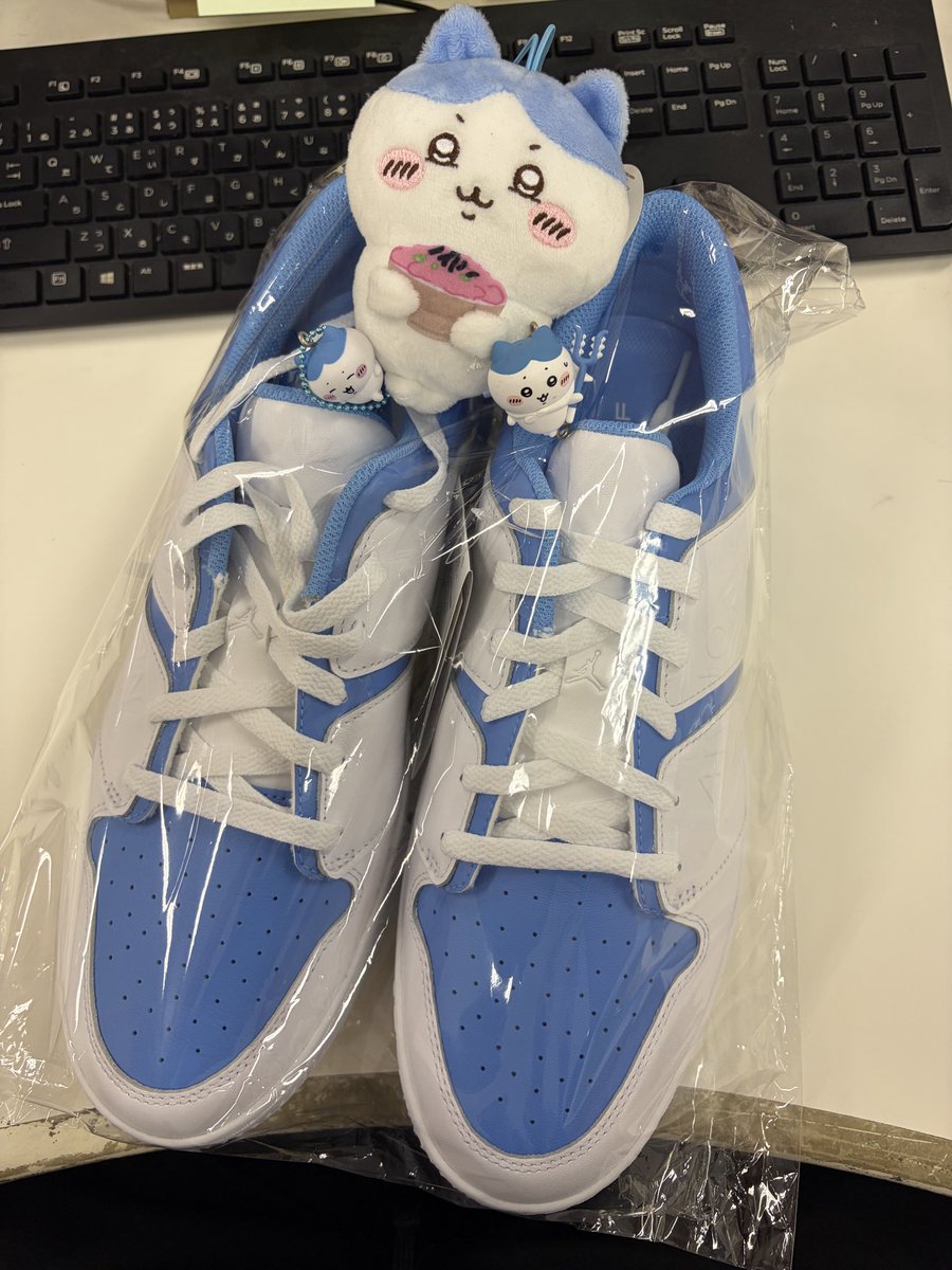 kattyan06201's tweet photo. ハチワレカラーのゴルフシューズプレゼントしてくれたぁぁぁぁああああ！！
(^ o̴̶̷̤  ̫ o̴̶̷̤^)ฅ⛳️
大事に履きます🙂‍↕️ https://t.co/Hg0g1s1l3j