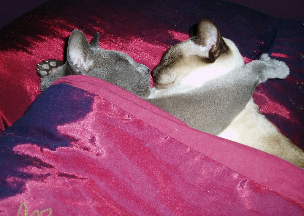 OldInternetFeel's tweet photo. 2006 https://t.co/dNw0UwCH32