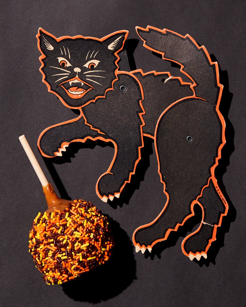 AffyTapple's tweet photo. IT'S OFFICIALLY SPOOKY SEASON! 🐈‍⬛🍁🎃🦇🍎👻🍂 https://t.co/ehnWwmRS61