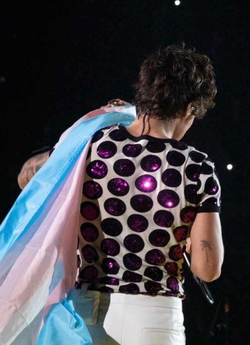 dilflinson's tweet photo. i truly wish more people understood girlrry. harry being so open and brave with his gender fluidity has helped me (a trans man) in so many fucking ways and i know others who identify under the trans umbrella feel the same way. if nobody else sees harry, i do, and always will https://t.co/DPiQTgvFWk