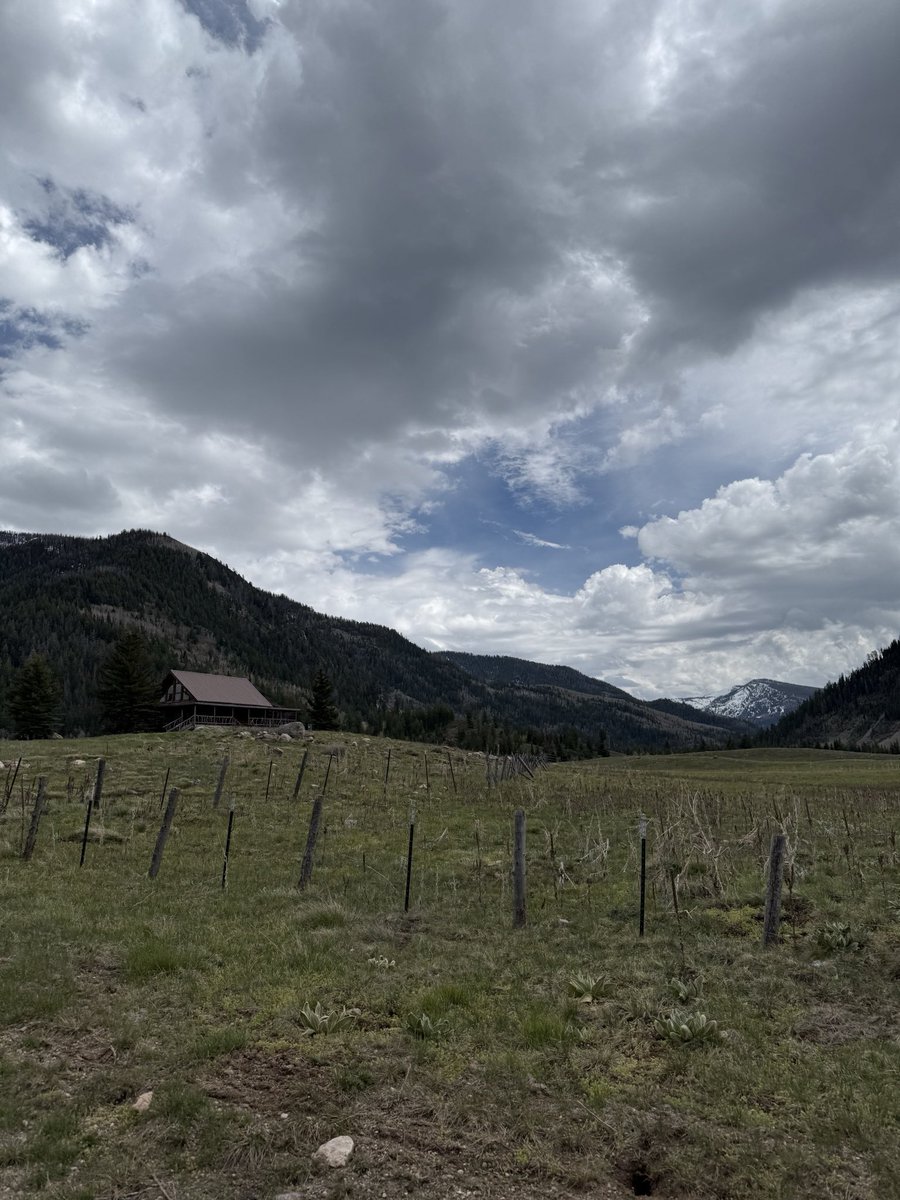 favtechnician's tweet photo. Is that the house from Yellowstone tv show? Rip’s cabin https://t.co/IXpuxd3t1Z