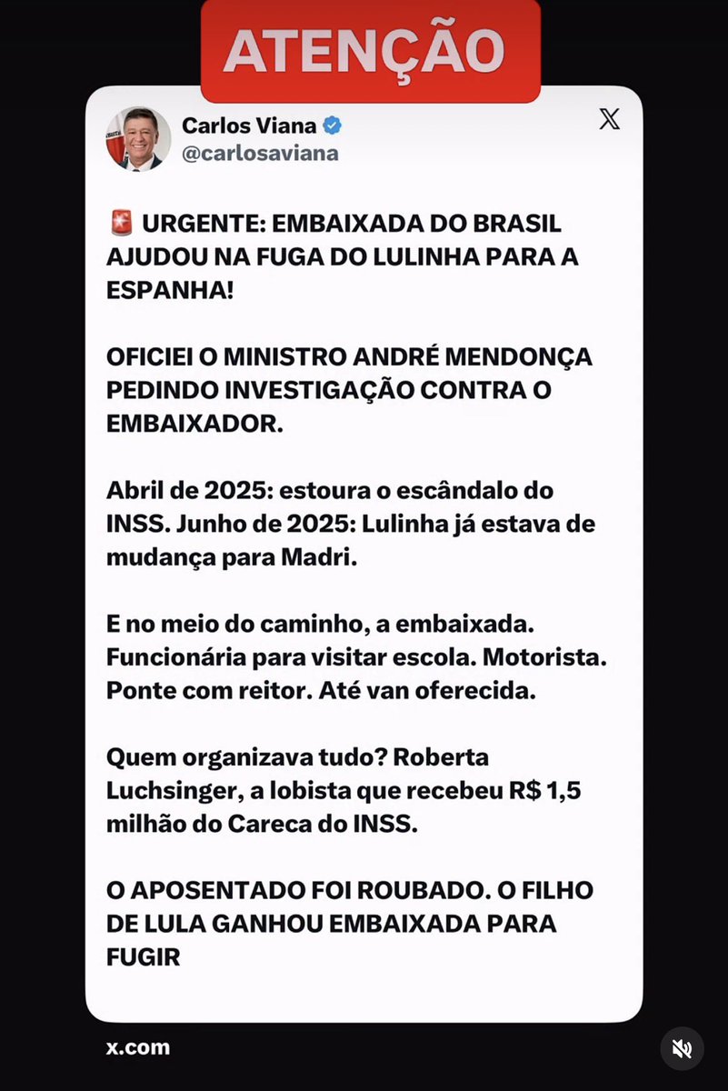 DMOLUZ's tweet photo. @maludbomf @pedrobaldansa https://t.co/El6uHDmRVP