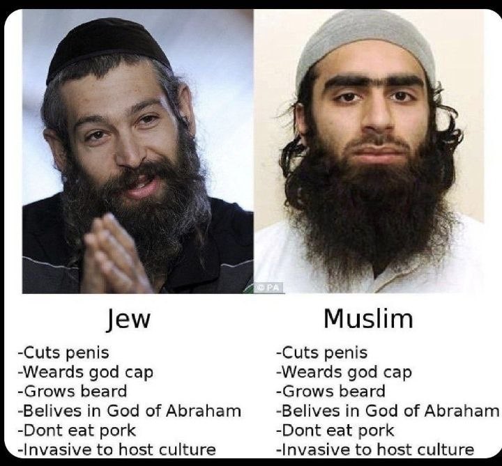 RacistMemeDepot's tweet photo. No difference https://t.co/b3lsYvMsIk