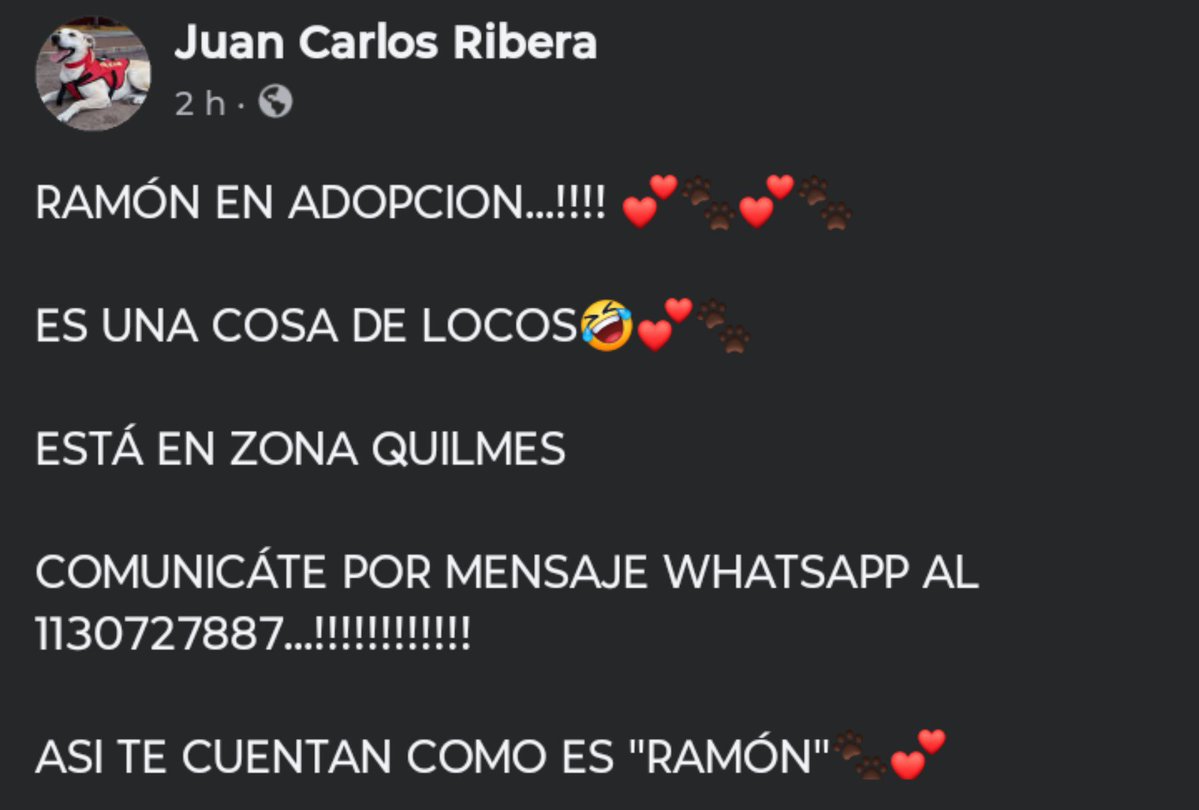 jimenadequilmes's tweet photo. A AYUDAR AL HERMOSÍSIMO RAMÓN, para que PRONTO ENCUENTRE UNA FAMILIA QUE LE BRINDE UNA CASITA, CUIDADO RESPONSABLE Y AMOR DE VERDAD!!!🙏😉💞🏡💓💖 Desde ya, muchas gracias!!!🐶🤗❤️ #Quilmes #Adopción #AdoptaNoCompres  #AdoptarSalvaVidas https://t.co/elABDFiauZ