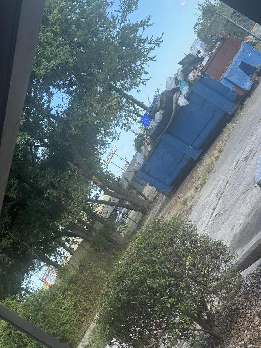 lyllybeeeshop's tweet photo. Morning view: an overflowing dumpster & the fresh aroma of toxic fumes with my coffee. ☕Shoutout to the kind citizen who picked up the trash around the grounds today. Thank you! 💚 Still wondering: why doesn't EBR embrace composting & recycling?#EBR #MentalHealth #Composting https://t.co/apOX5ixZfd