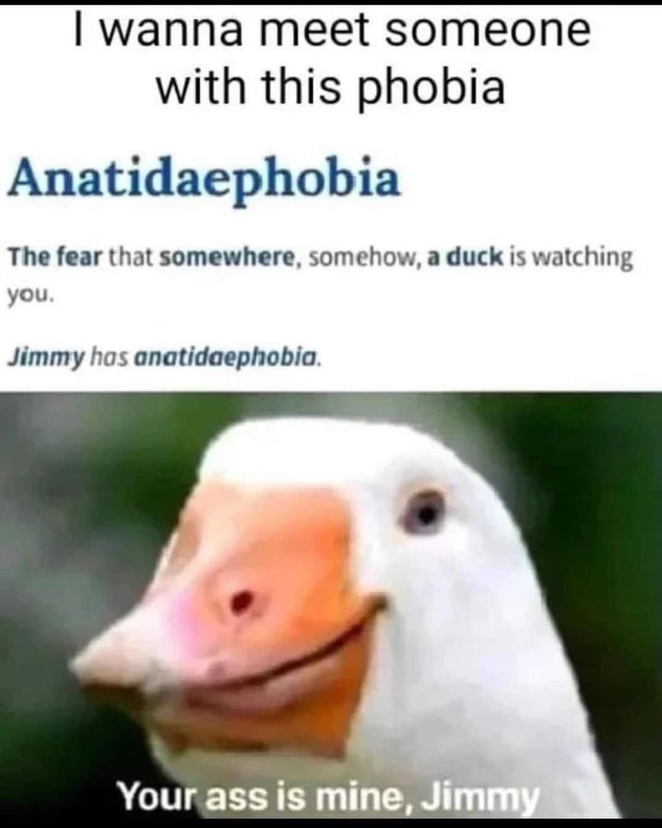 G00NB0TCHEF's tweet photo. 🦆🪿 https://t.co/gwnGIHA5Uo