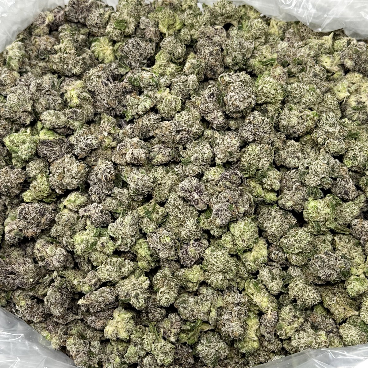 caliplug_distro's tweet photo. STRAIN: Blue Nerdz 🌿
TYPE: SMALLZ 📦
PRICE: $650 💰
👀 Bag Appeal: 8/10
📏 Nug Size: 6/10
🧱 Structure: 8/10
👃 Nose: 7/10
💧 Freshness: 8/10
✂️ Trim/Cleanliness: 8/10
🌀 Breakdown: 9/10
👅 Taste/Smoothness: 9/10
🔥 Burn/Ash: 10/10

TOTAL: 80/100 🏆

AVAILABLE @caliplug_distro📍 https://t.co/XVOVTIbPSZ