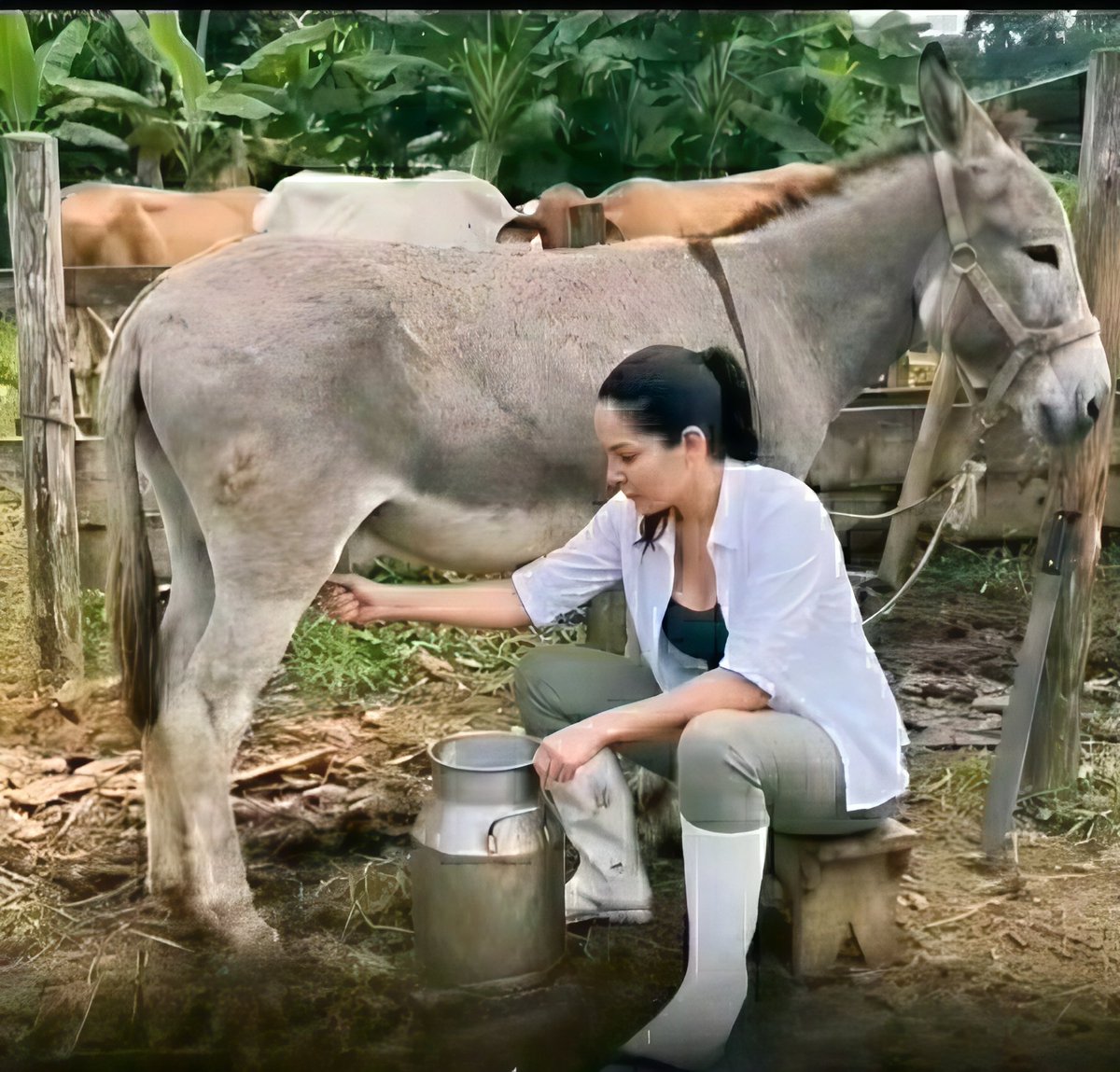 HastaNunkCorrea's tweet photo. La Luchita comparte en sus redes sociales otra foto trabajando en su humilde finquita en Canuto https://t.co/6koSgtS1hq