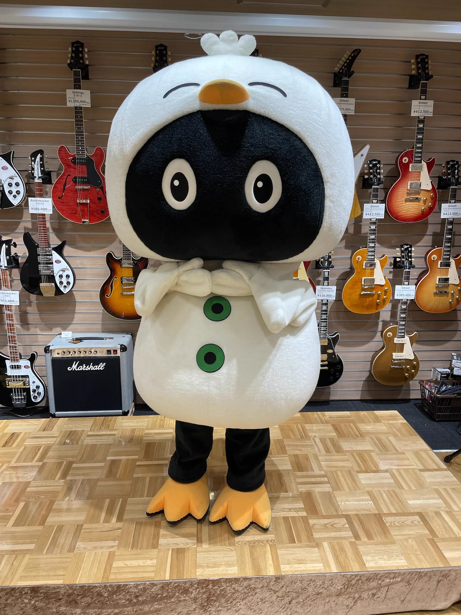 Hooちゃん🐤🎶【山野楽器公式キャラクター】 on X: 