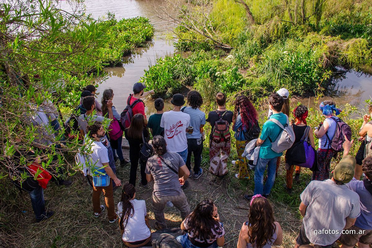tiempoarg's tweet photo. 🔵 Qué universidad, qué río queremos: la Memoria del Pantano y la disputa por la Reserva Ecológica Costanera Norte.

✍ @lucicex | https://t.co/aD2FgQ21mw https://t.co/CPjUTExAWp