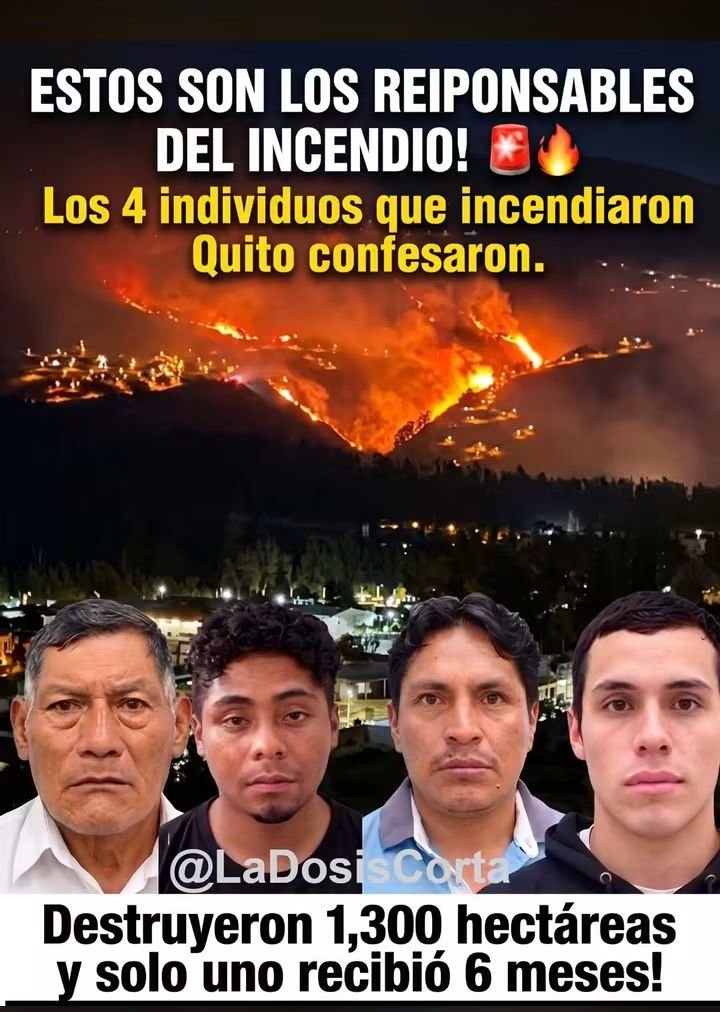 2020machala's tweet photo. 🚨 ¡TIENEN NOMBRE Y APELLIDO! CONOCE A LOS CUATRO RESPONSABLES QUE CONFESARON HABER INICIADO LOS DESASTROSOS INCENDIOS FORESTALES QUE CONVIRTIERON A QUITO EN UN INFIERNO. ¡DESTRUYERON 1.300 HECTÁREAS, QUEMARON VIVOS A MILES DE ANIMALITOS Y DEJARON A FAMILIAS EN LA CALLE! 🚨

El daño que le hicieron a nuestra ciudad es imperdonable. Ser descuidado es una cosa, pero causar un desastre intencional que aniquila nuestro ecosistema merece el repudio absoluto de toda la capital y todo el peso de la ley. ¡Estos son los rostros detrás de la tragedia que asfixió a los quiteños!

¡Que todo el Ecuador sepa quiénes son! Ayúdanos a COMPARTIR masivamente esta publicación para exigir penas más duras y que estos actos no queden en la burla de una condena mínima.

📌 TODOS LOS DETALLES DE LOS IMPLICADOS Y EL SALDO DEL T3RR0R:

• Una destrucción histórica: El fuego consumió 1.300 hectáreas, lo que equivale a más de 163 estadios olímpicos totalmente incinerados. Miles de animalitos p3rd!3r0n l4 v!d4, los ecosistemas tardarán muchísimos años en recuperarse y, lamentablemente, muchas personas se quedaron sin sus hogares.
• Los 4 confesos: Tras las investigaciones, cuatro sujetos reconocieron ser los autores de las llamas en distintos puntos:

Christopher Flores: Reconoció haber iniciado el fuego en el sector de Monjas. Cuenta con antecedentes por r0b0 y v!0l3nc!a intrafamiliar.

Segundo Criollo: Confesó haber provocado el incendio en Caspigasí, originado por una quema agrícola.

Edison Chanatachi: Aceptó ser el causante del fuego en la avenida Simón Bolívar.

Luis Díaz Paredes: Reconoció haber iniciado las llamas en el sector de La Vicentina.
• ¿Justicia de burla?: La buena noticia es que, de los cuatro involucrados, tres ya se encuentran pr3s0s. Sin embargo, la indignación ciudadana estalla al saber que, por ejemplo, Christopher Flores recibió una pena de pr!s!ón de tan solo seis meses por el grave d3l!t0 ambiental que cometió en Monjas.

⚠️ ¡LAS LEYES DEBEN CAMBIAR URGENTE! El enorme daño que causaron estos d3l!ncu3nt3s no se paga con medio año de encierro. Un solo "compartir" desde tu celular es un grito de protesta ciudadana. Déjanos tu comentario: ¿Consideras que la Asamblea Nacional debe actuar de inmediato para endurecer las penas y castigar a los p!róm4n0s con sentencias de 10 a 20 años de c4rc3l? Te leemos. 👇
------------------------ 🆘