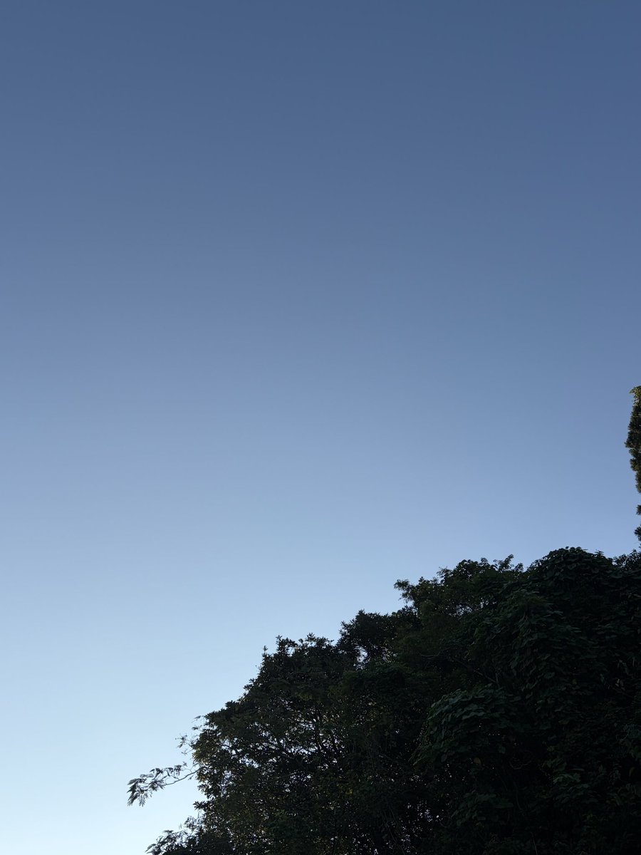 RX7FD3Shim's tweet photo. おはようさんです☀️

10月1日 コーヒーの日☕️
今朝は21.0℃

良い天気で、10月スタートです☺️
頑張っていきましょう♪

今日も良き日に👍
本日もよろしくでーす💖
#フォロバ100 #ブロガー https://t.co/urFwte0KOP