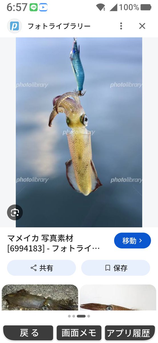 mitemitetotoro's tweet photo. 北海道もいよいよ
秋の豆イカ釣りが始まり
ました😺一度エギングに
はまったら🐻
やめられませんね
エギングもかなり奥が深い
今までは北海道に居なかった
イカも
一度豆イカ釣りを
やって見てはイカがですか😺
まもなく石狩新港にも顔を
出す時期ですね😺🐻 https://t.co/QEgGBaPF6a