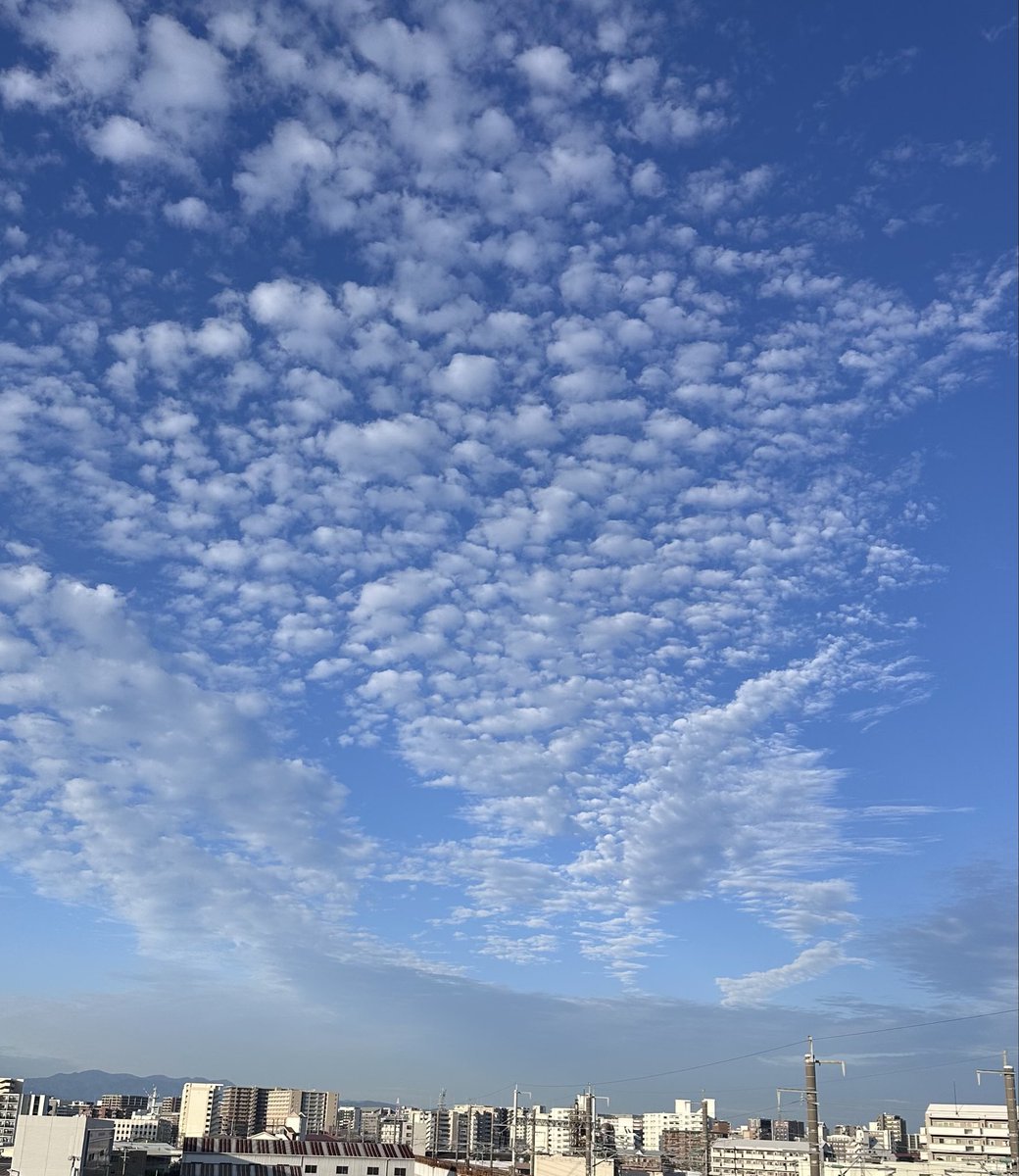 lpwxDo9uvs7dlCN's tweet photo. 飛行機はいませんが、THE秋🍂て空！ https://t.co/050FlebKeF