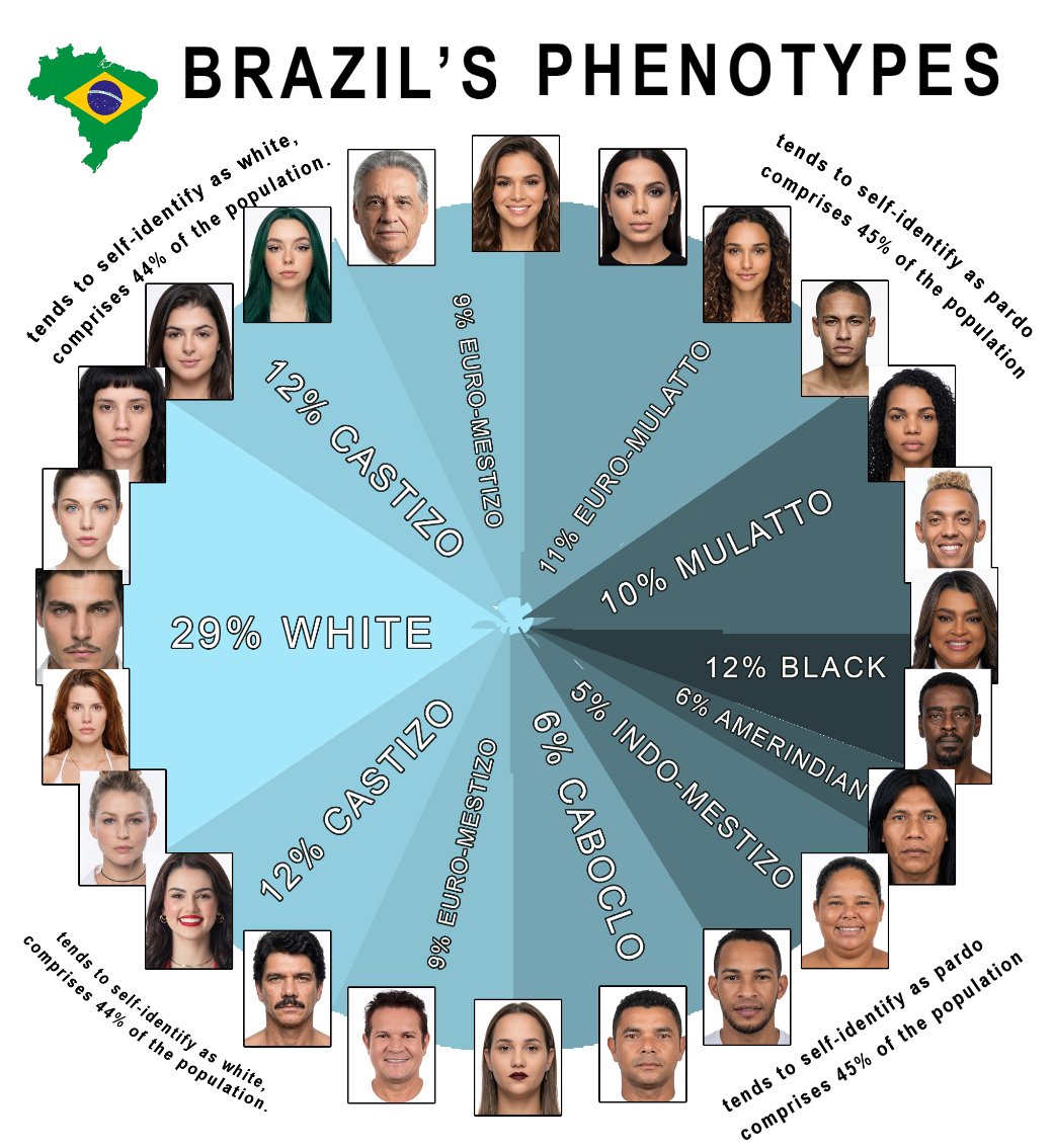 tenschik's tweet photo. fenótipos brasileiros
autodeclarados brancos:
29% branco (+90% de ancestralidade europeia)
12% castiço (+70% de ancestralidade europeia)

pardos:
9% euromestiço (+60% de ancestralidade europeia)
32% euro-mulato, mulato, caboclo, indo-mestiço (40-80% de ancestralidade europeia) https://t.co/YiNU8Ojvtq