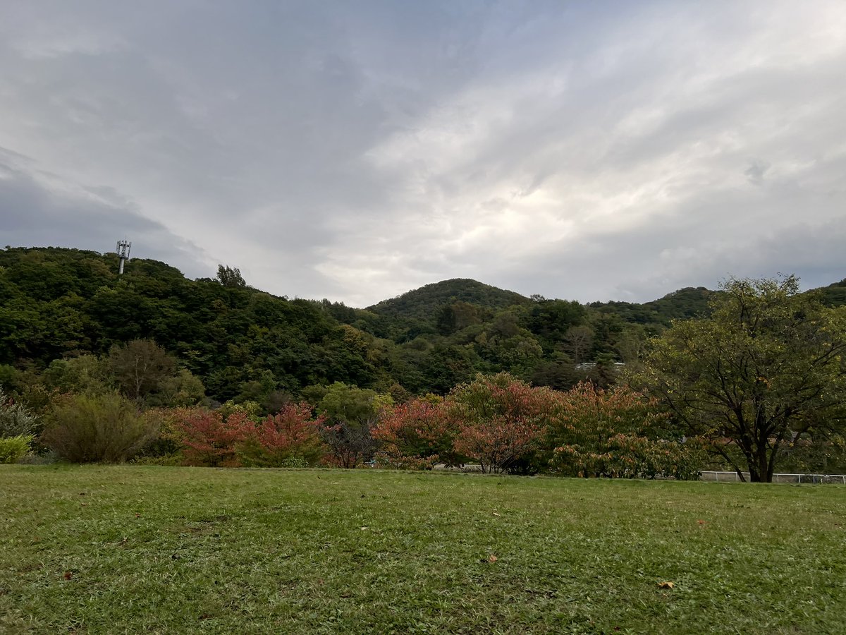 majorinko's tweet photo. 朝んぽ🐶☂️🍁 https://t.co/lnc59wmc3J
