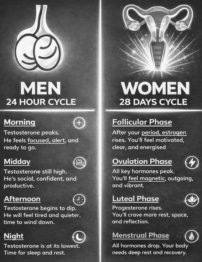ALetterToMySons's tweet photo. Men Vs Women Cycle 📌 https://t.co/a11PE3i9fi