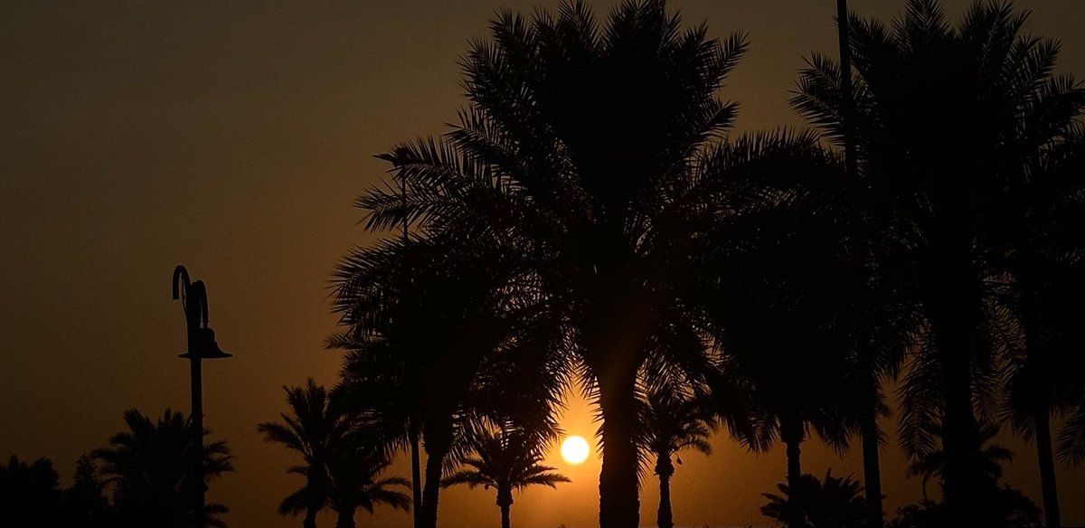 saa_m94's tweet photo. شـروق قلبي
لا أشـرقت 
شـ☀️س الخميس
اللي صبـــاحه و ليلـه 
عن بـــدّ الأيـام كلها https://t.co/4qXzjGZoZG
