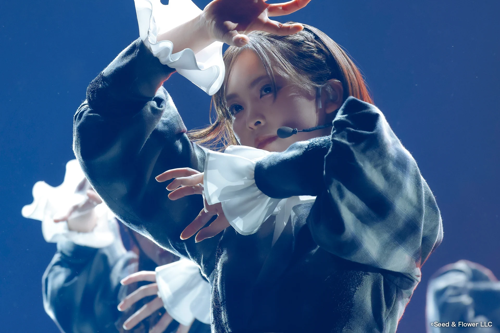 ライブ写真「13」 Lemino ライブ 公式 on X: 