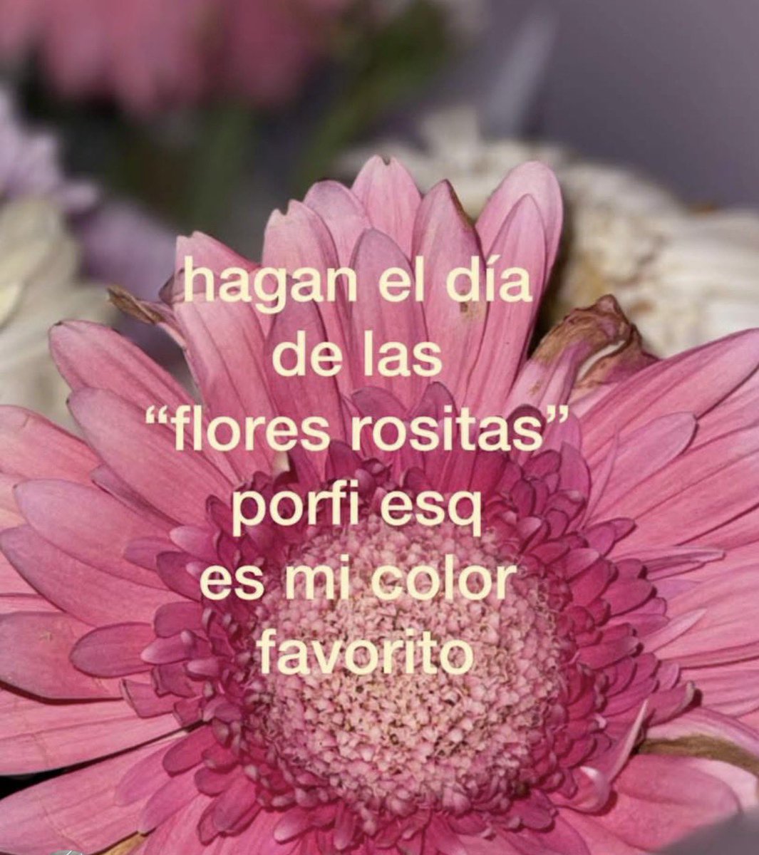 danavalienteb's tweet photo. Aunque no hay día, él sí me las regala 🥺🩷 https://t.co/OULf1HhY3C