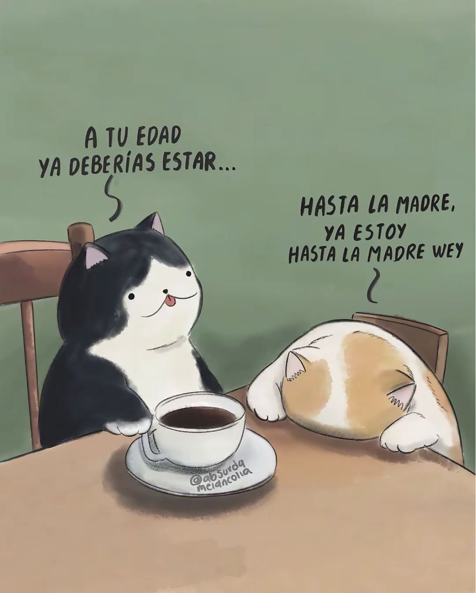 PacoU_507's tweet photo. No aguantan nada… 😂 https://t.co/yh7moSp5sh