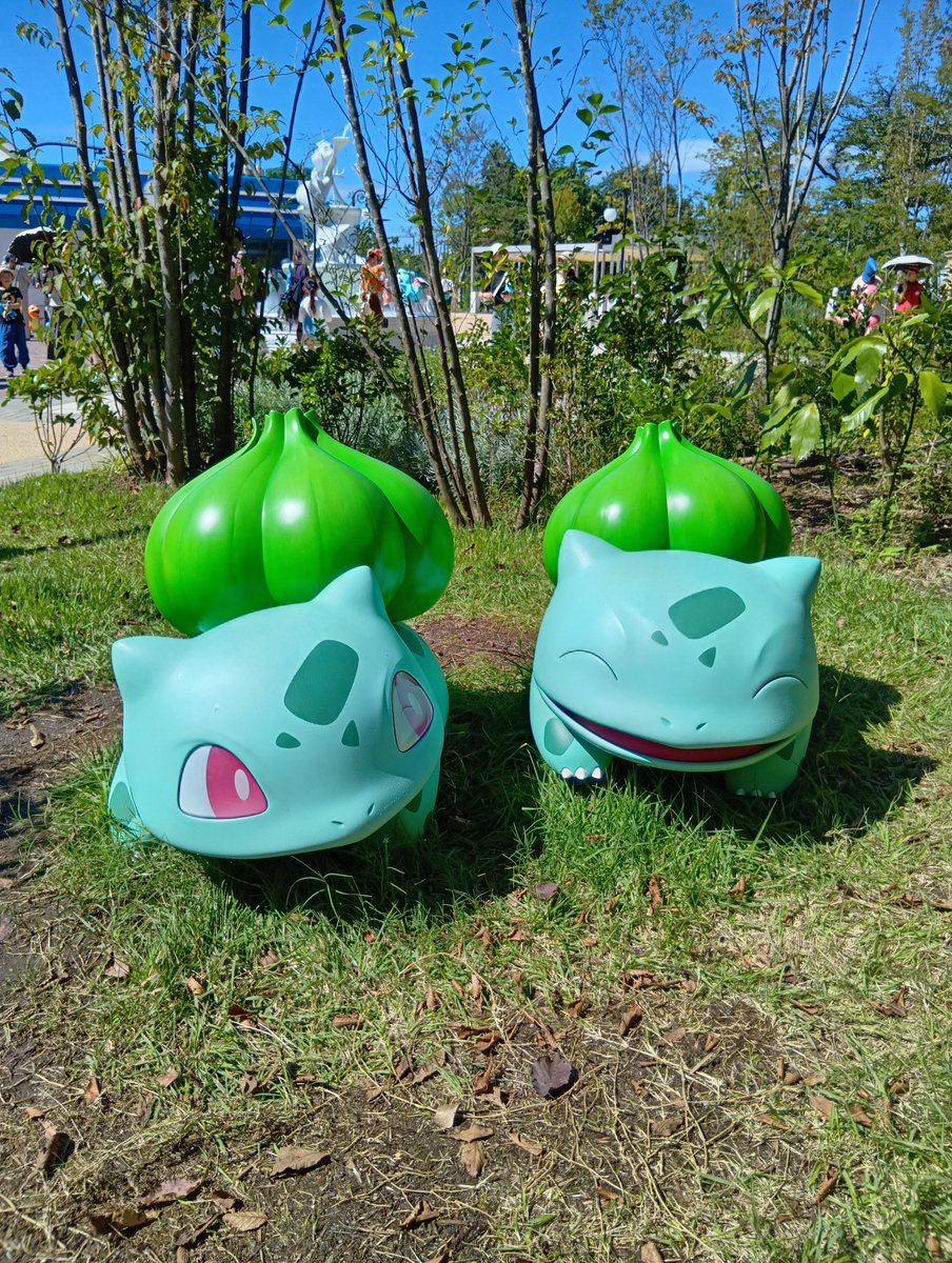 jeshikalina5pui's tweet photo. ふふふフフフシギダネの位置がかわってるるるるるる！！！！！！！！ https://t.co/XQWcDRmjhf
