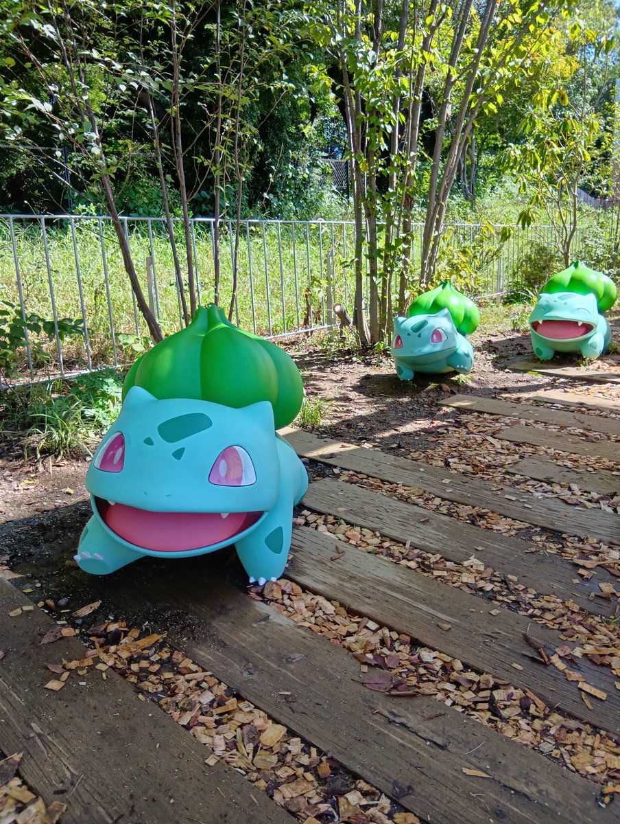 jeshikalina5pui's tweet photo. ふふふフフフシギダネの位置がかわってるるるるるる！！！！！！！！ https://t.co/XQWcDRmjhf