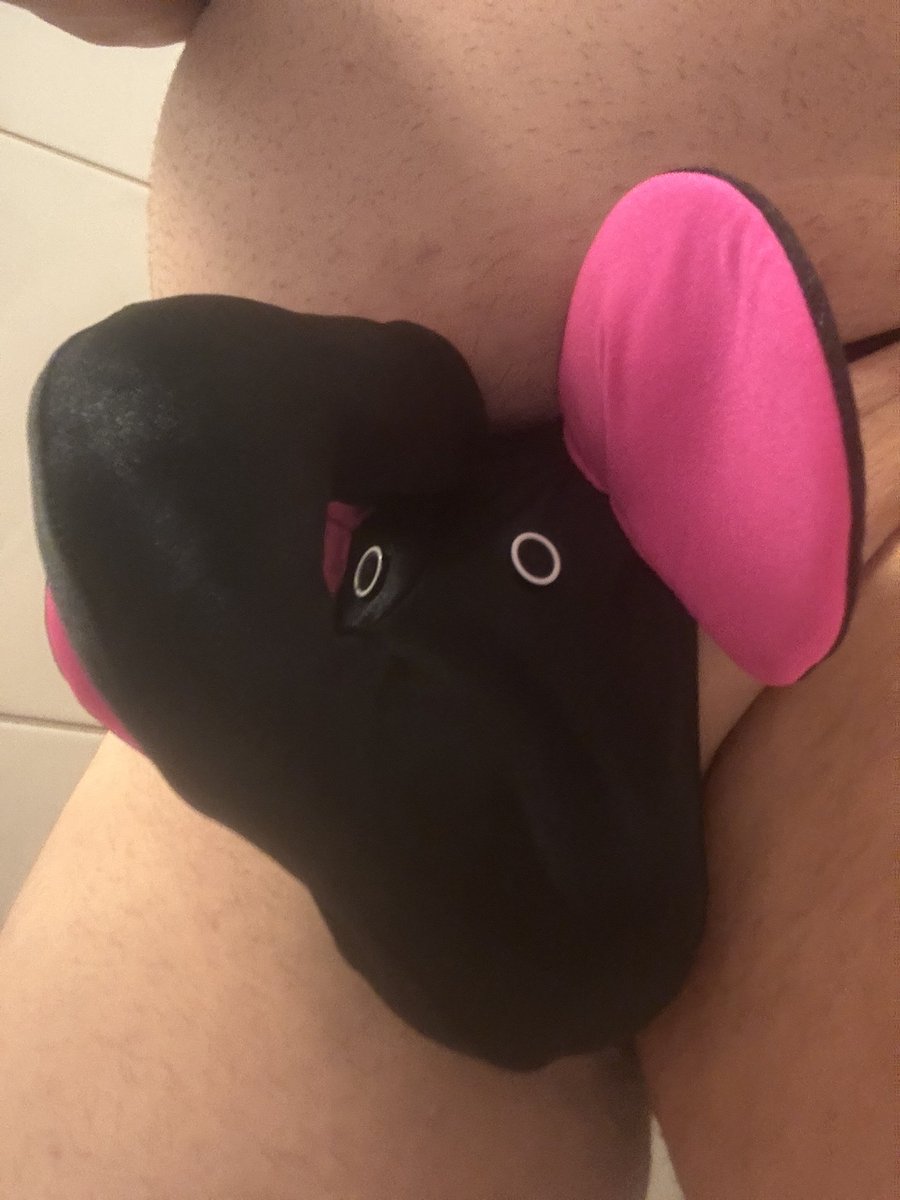 Stephan6s6's tweet photo. Wow so ein schöner 🐘 🐘 https://t.co/iqgqSk2W9k