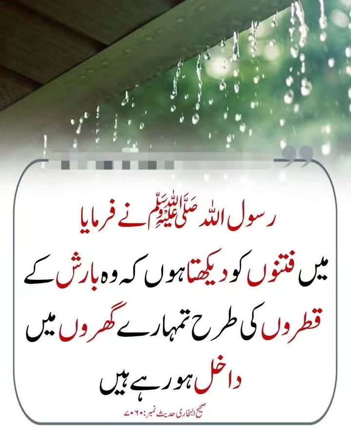 Ajmal_804's tweet photo. رسول اللّٰہ ﷺ نے فرمایا https://t.co/IjkIbWfczP