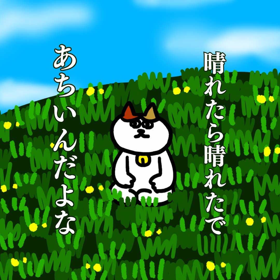 funnynakamichi's tweet photo. まずは　ありがとう https://t.co/p7Yfp7n4BK