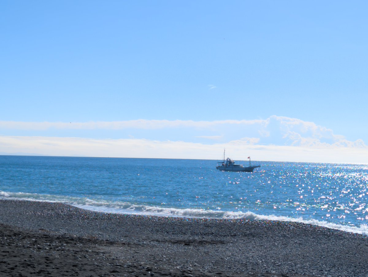 Tenta_Tender's tweet photo. あち〜〜🌊☀
今日は朝マズメでショゴ2げっと！🐟️

それ以降、な〜〜んも当たりないから今日はもう閉店です！！
朝マズメ終わったら人だ〜れもいなくなった理由がとてもよくわかった

こんなあちぃなか夕マヅメまでいるのはしんどいしタイパわるい〜🫠⌛️ https://t.co/8GPp2LjW5Q
