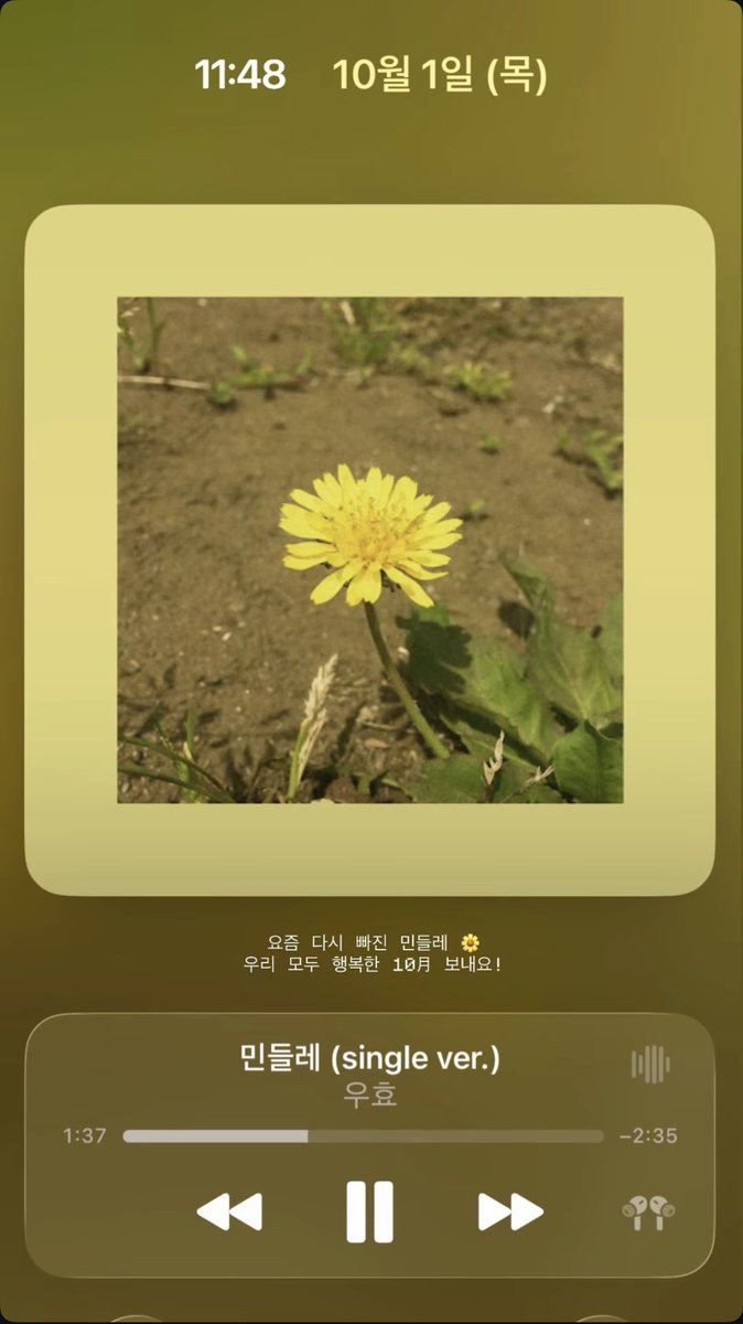 kyuheeism's tweet photo. 261001 #남규희 인스타 스토리

🎵민들레 (single ver.) - 우효 https://t.co/AVacpKMtU5