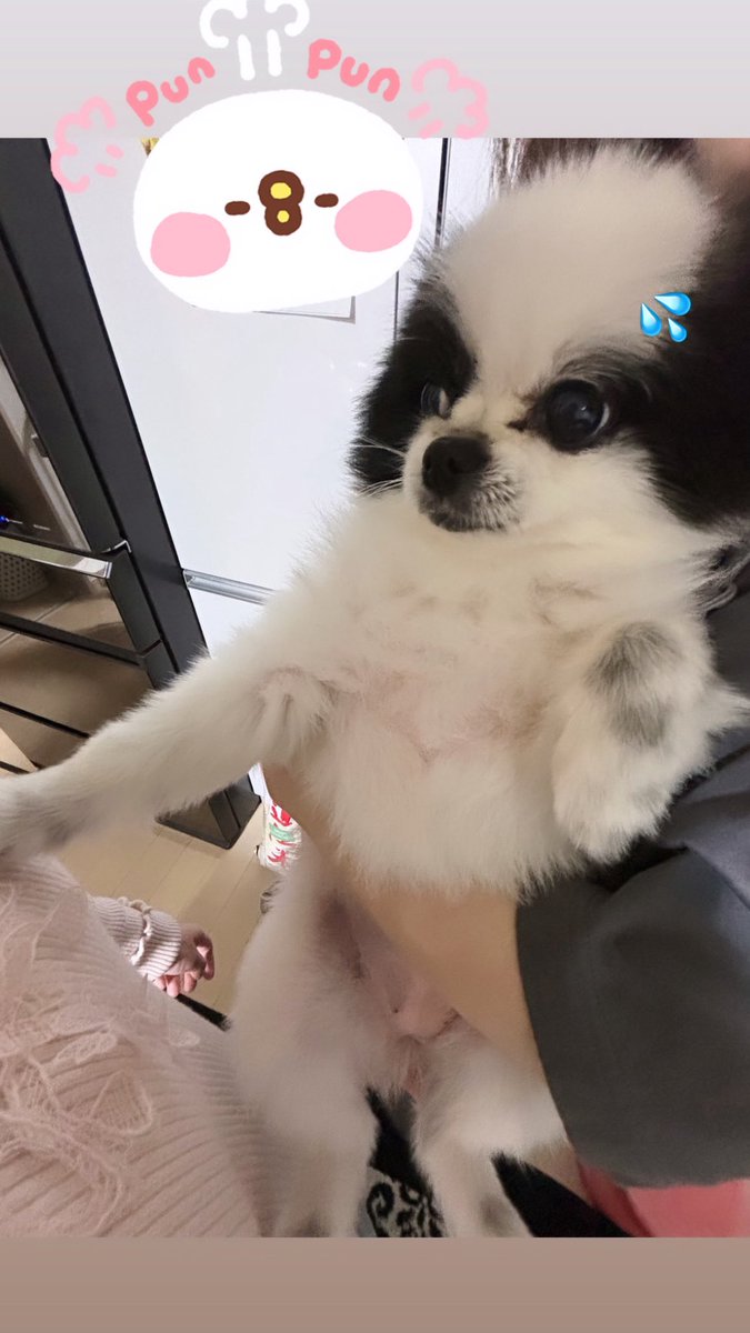 _0kqxll's tweet photo. チューってしようとしたらこれで泣く https://t.co/IZNPknibVV