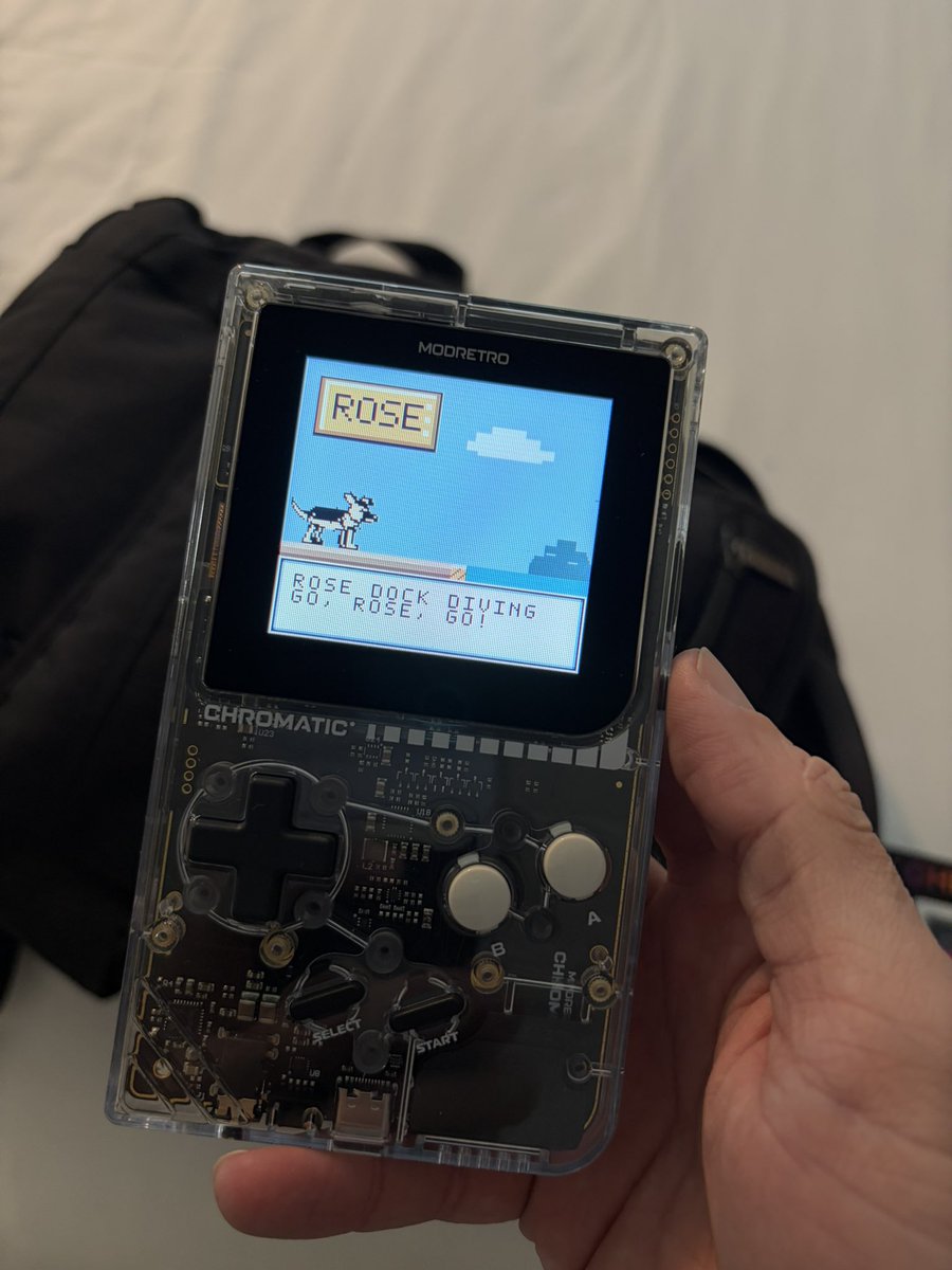 ericdatum's tweet photo. @techwithhannahm For sure top ten best swag. Made a dock diving game of my dog. https://t.co/8Ri5vr7KHO